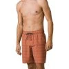 Men's PrAna Metric E-Waist Zip Boardshorts Pistachio Sardines